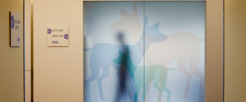 A deer abstract custom glass artwork, wall-cladding in Randall Children's Hospital at Legacy Emanuel, and printed on a glass door partition by Skyline Design architectural glass manufacturer.