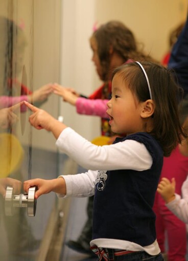 A botanical custom glass artwork, designed by Henry Domke and wall-cladding in the Hershey Children's Hospital and printed on glass by Skyline Design.