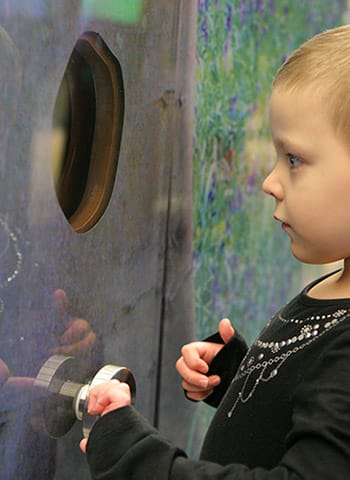 A botanical custom glass artwork, designed by Henry Domke and wall-cladding in the Hershey Children's Hospital and printed on glass by Skyline Design.